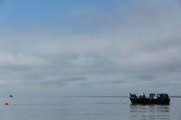 Bowpicker Subsistence Fishing